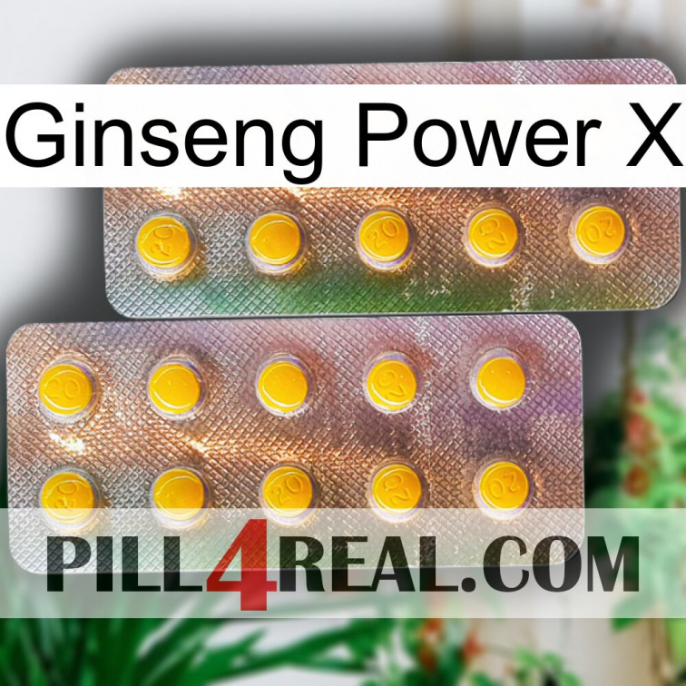 Ginseng Power X new10